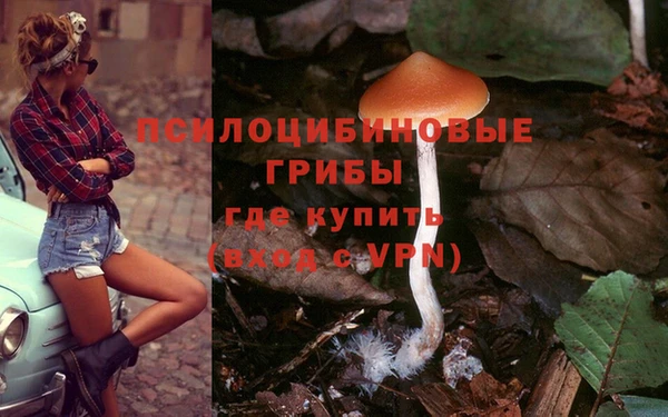 соль ск Верея