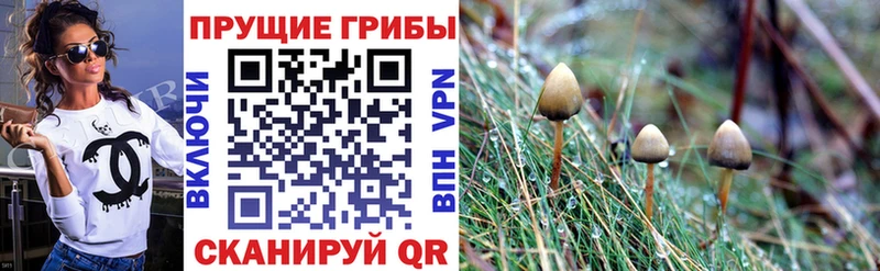 Галлюциногенные грибы прущие грибы Калязин